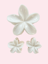 Set x3 Clips Flores