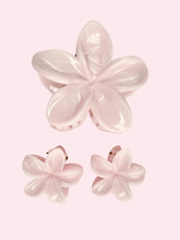 Set x3 Clips Flores