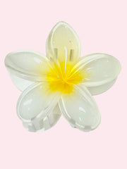 Hair Clip Caiman Flor Hawaii (Surtido)