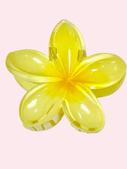 Hair Clip Caiman Flor Hawaii (Surtido)
