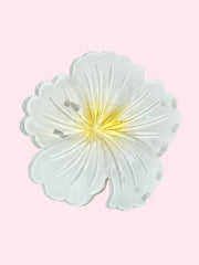 Hair Clip Caiman Flor Jamaica (Surtido)