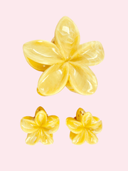 Set x3 Clips Flores