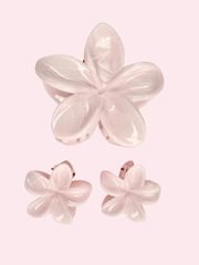 Set x3 Clips Flores